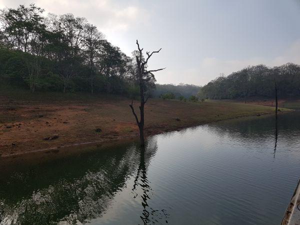 Periyar Tiger Reserve Kerala