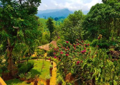 Pranawam Homestay, Wayanad