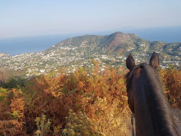escursioni a cavallo Ischia