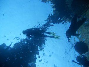 snorkeling a Sant'Angelo Ischia