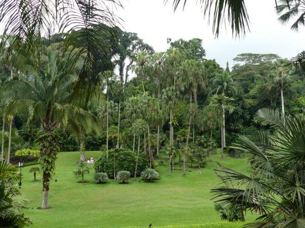Orto Botanico Singapore