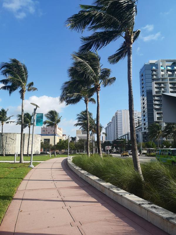 Collins Avenue Miami