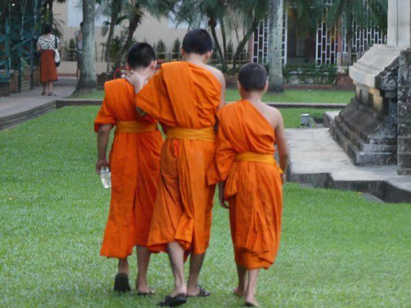 monaci thailandia del nord