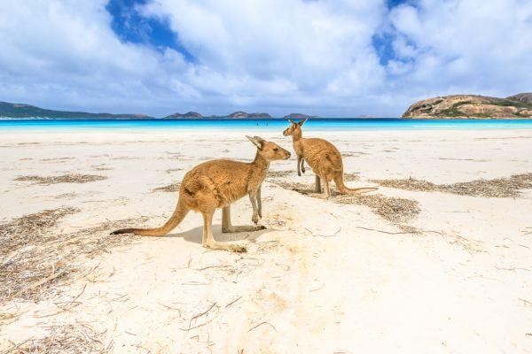 esperienze da provare in Australia