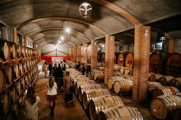 azienda Bersano vini Monferrato
