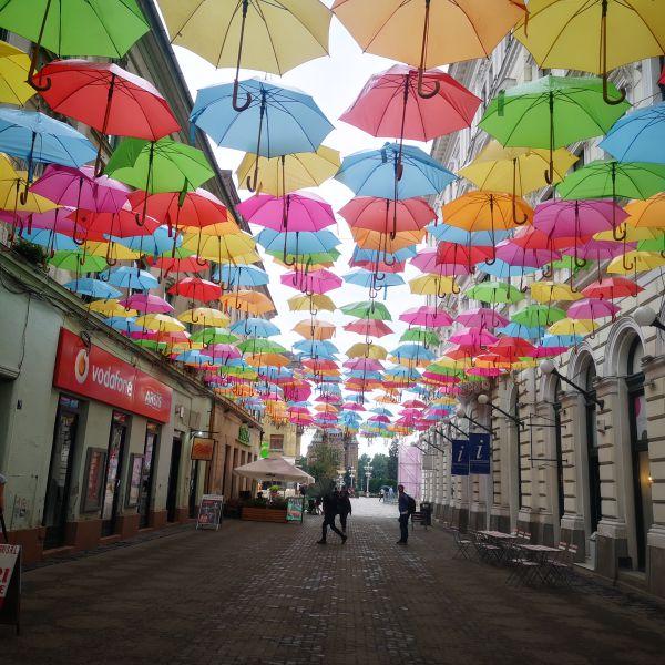 strada ombrelli Timisoara