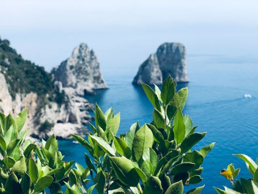 Cose Da Vedere A Capri In Un Giorno