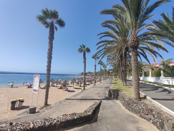 clima Tenerife