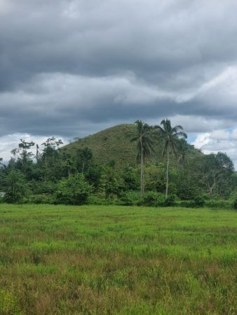 colline di cioccolato filippine