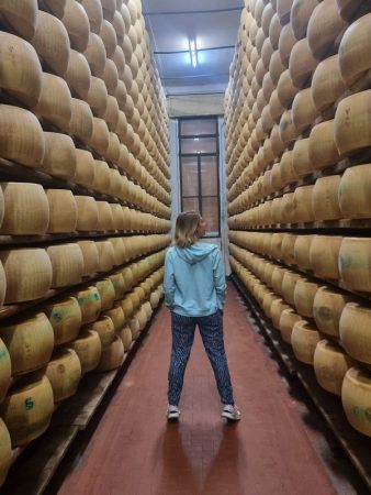 Parmigiano reggiano Reggio Emilia