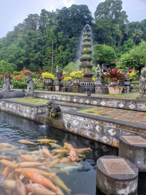 Migliore assicurazione viaggio per Bali, cosa copre, spese mediche e costo