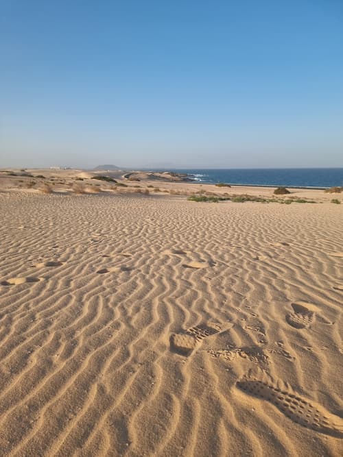 dune di Corralejo