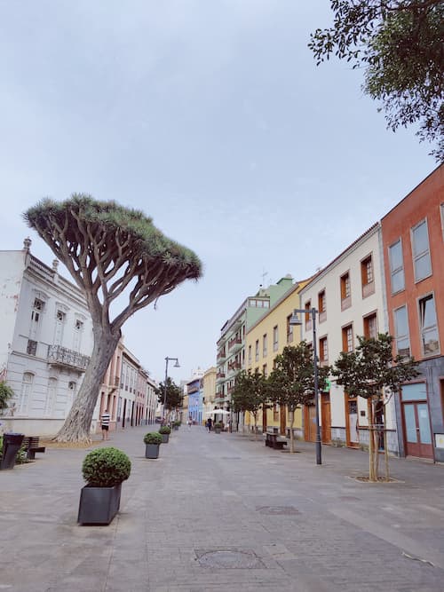 La Laguna Tenerife