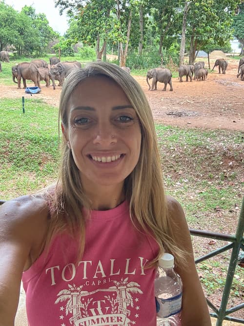 elephant transite home Udawalawe