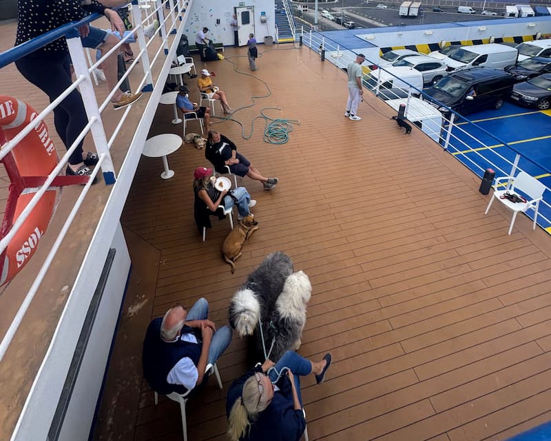 da Tenerife a Huelva in nave col cane